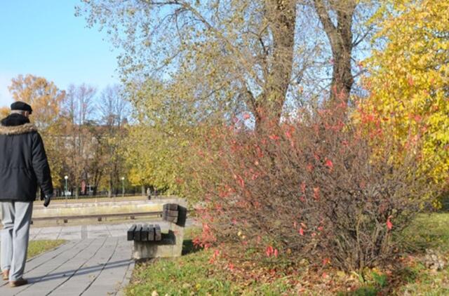 Klaipėda: VE.lt pristato lapkričio 17 dienos įvykius