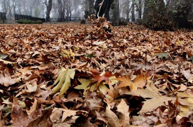 Lapkričio 25-oji: vardadieniai, dangaus kūnai, istorija