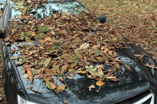 Lapkričio 9-oji: vardadieniai, dangaus kūnai, istorija