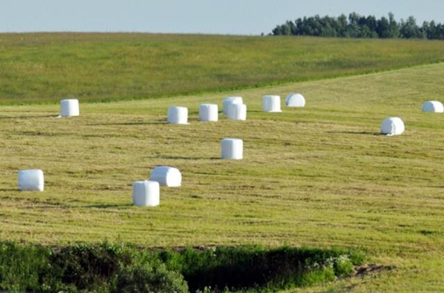 Premjeras: draudimas užsieniečiams įsigyti Lietuvoje žemę turėtų būti pratęstas