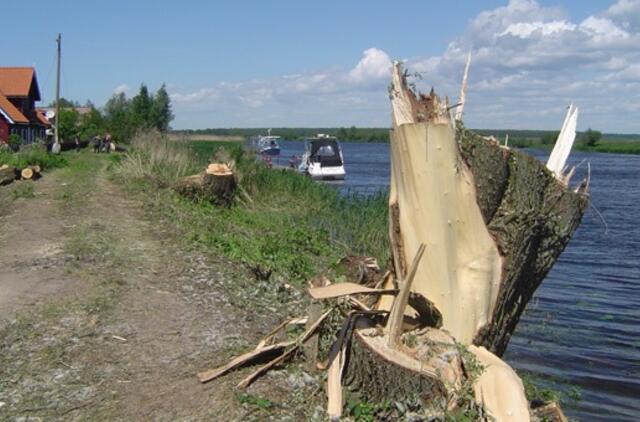 “Šilutės polderių” medkirčiai negali be Minijos