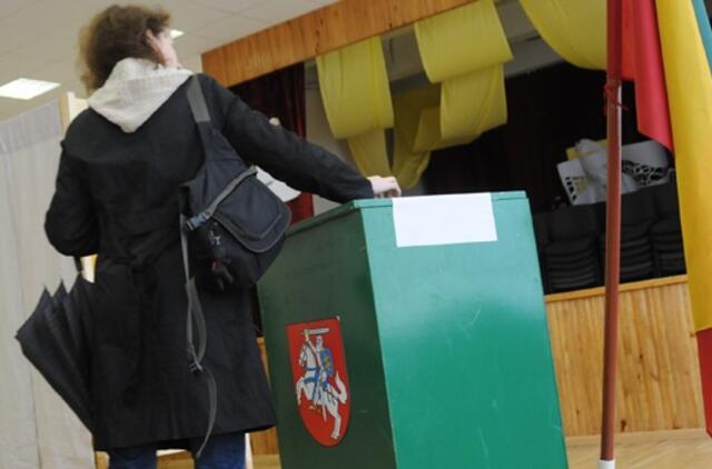 Teismas: rinkimuose į Europos Parlamentą gali dalyvauti ne tik politinės partijos