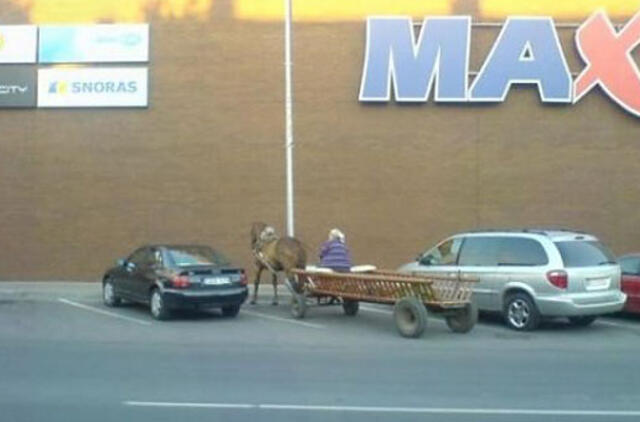 Bulvaras: tikėk - netikėk