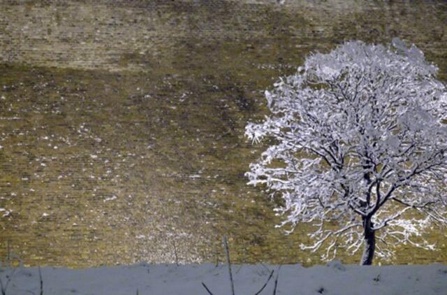 Gruodžio 2-oji: vardadieniai, dangaus kūnai, istorija