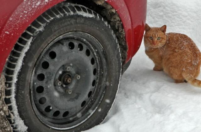 Gruodžio 21-oji: vardadieniai, dangaus kūnai, istorija