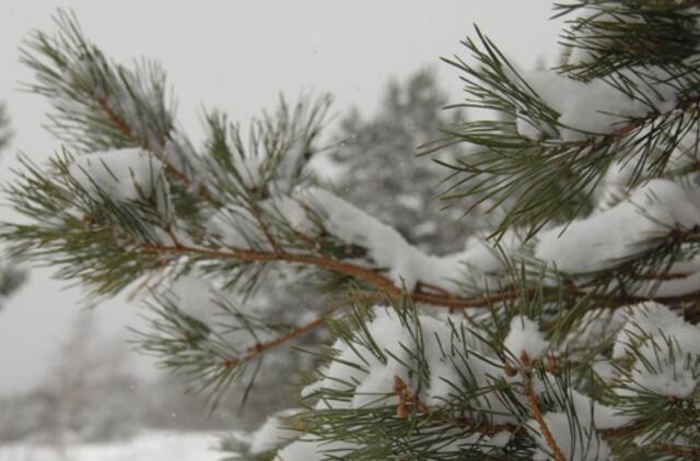 Gruodžio 28-oji: vardadieniai, dangaus kūnai, istorija