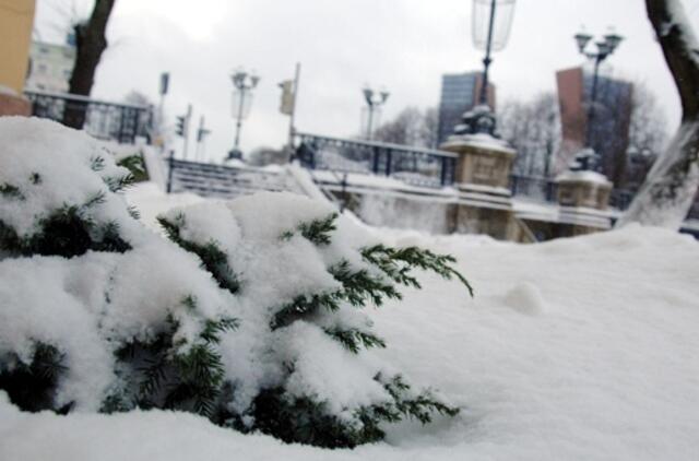 Klaipėda: VE.lt pristato gruodžio 10 dienos įvykius