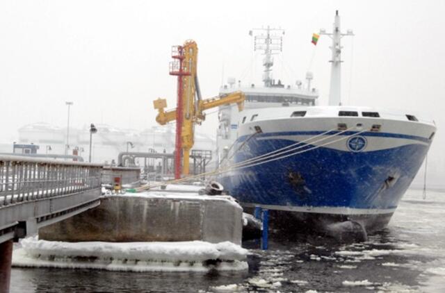 Lapkritis "Klaipėdos naftai" – rekordinis