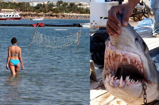 Ryklių išpuoliai prieš poilsiautojus Egipte aiškinami nelegaliu jų šėrimu