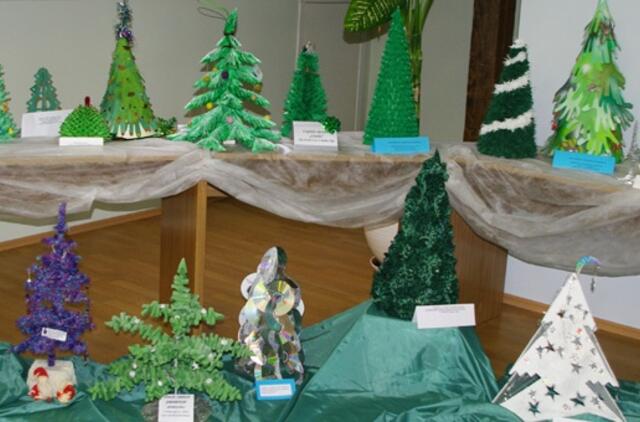 Skarotos eglės džiaugiasi artėjant Kalėdoms