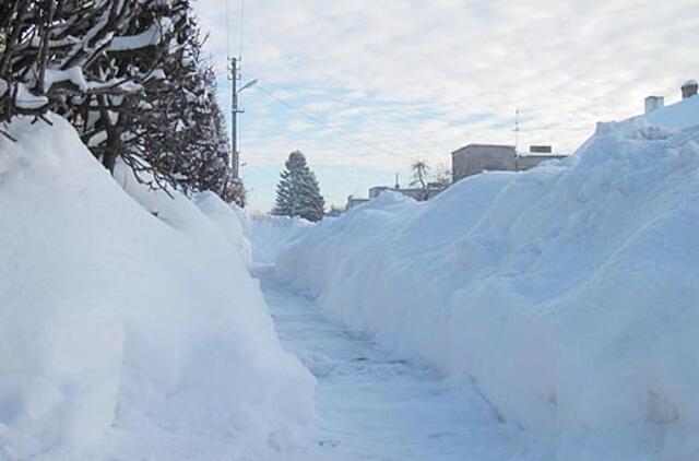 Dėmesio - konkursas "Mano didžioji pusnis"