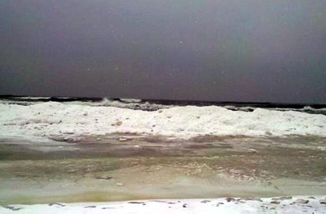 Klaipėda: VE.lt pristato sausio 31-osios įvykius