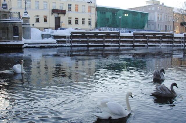 Klaipėda: VE.lt pristato sausio 5 dienos įvykius
