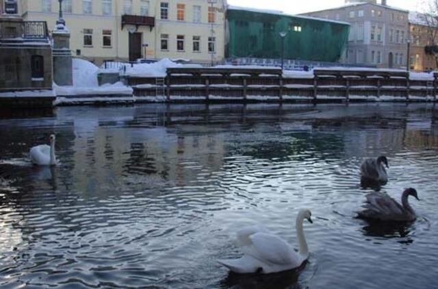 Klaipėdos pirmadienis, sausio 3-oji