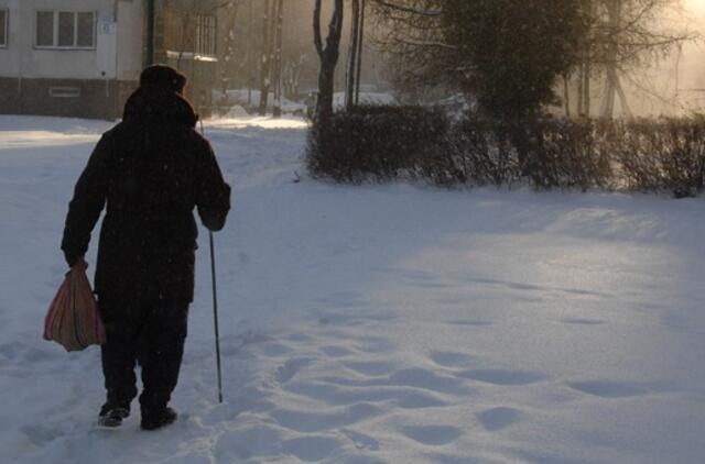 Pensijų reformos gairės gali būti patvirtintos pavasarį