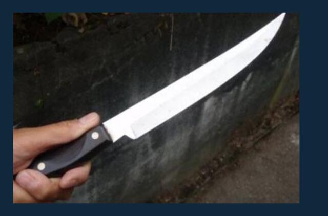 Prasiskolinęs pensininkas Prancūzijoje išžudė savo šeimą