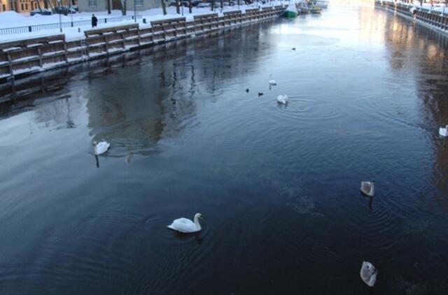 Sausio 15-oji: vardadieniai, dangaus kūnai, istorija