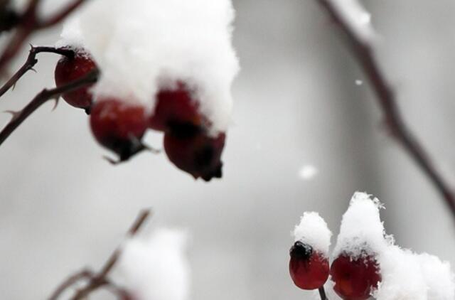 Sausio 27-oji: vardadieniai, dangaus kūnai, istorija