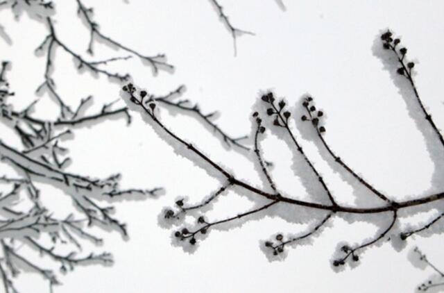 Sausio 29-oji: vardadieniai, dangaus kūnai, istorija