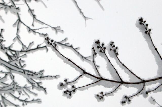 Sausio 31-oji: vardadieniai, dangaus kūnai, istorija