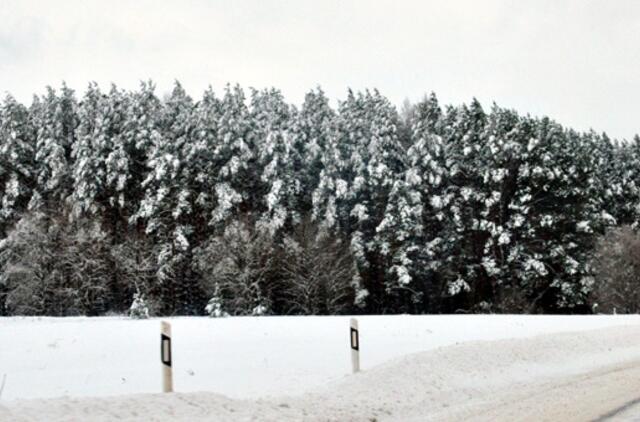 Sausio 4-oji: vardadieniai, dangaus kūnai, istorija