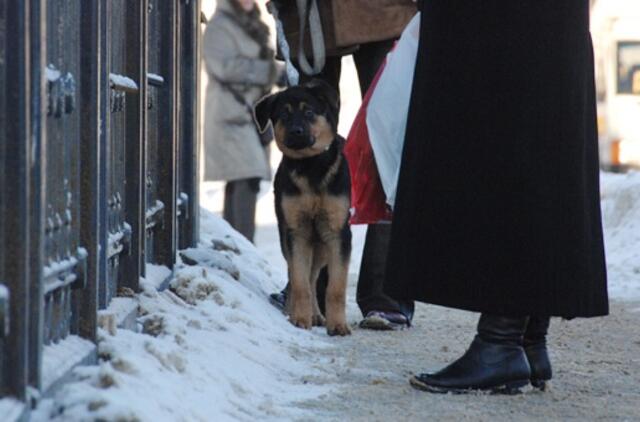 Sausio 7-oji: vardadieniai, dangaus kūnai, istorija