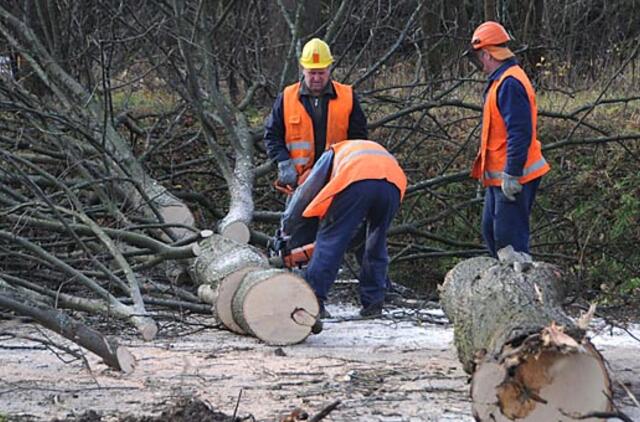 Valdininkai idėjų nestokoja