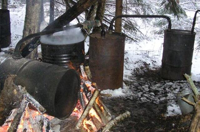 Brangsta cukrus - pigs naminė