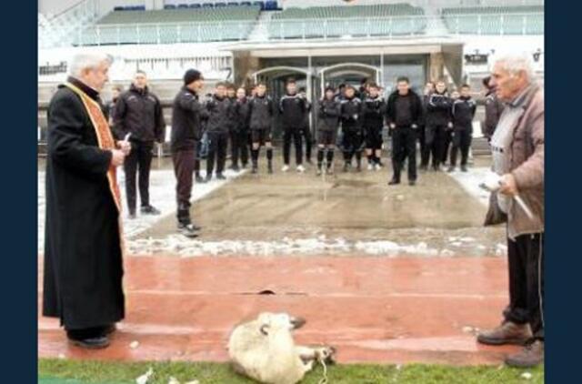 Bulgarų komanda tikisi sėkmės atlikusi ėriuko skerdimo ceremoniją