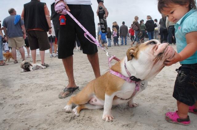 Kinija: Šanchajus vykdys "vieno šuns politiką"