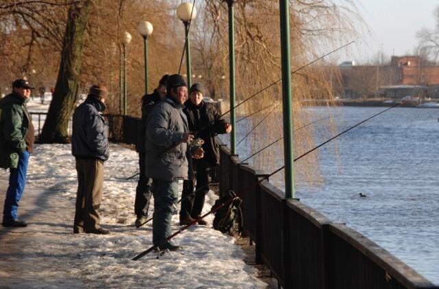 Klaipėda: VE.lt pristato vasario 12 dienos įvykius