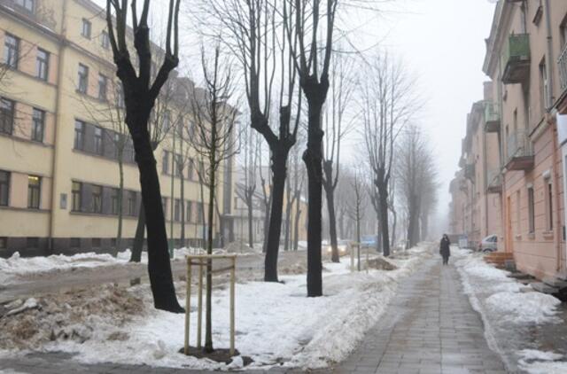 Klaipėda: VE.lt pristato vasario 3 dienos įvykius