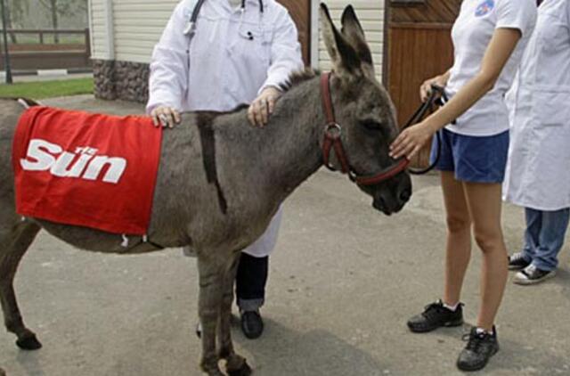 Nugaišo garsiausia Rusijos asilė Anapka