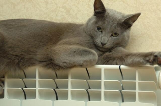 Šilumos ūkio kontrolę norima perduoti vartotojų teisių gynėjams