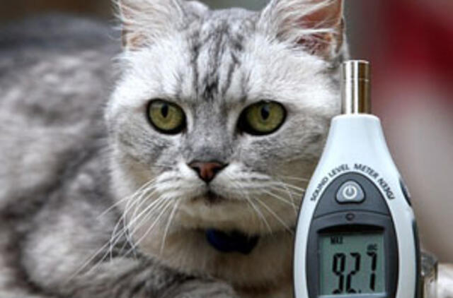 Smokey murkia 92 dB garsu