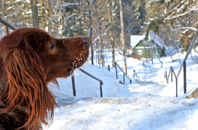 Vasario 27-oji: vardadieniai, dangaus kūnai, istorija