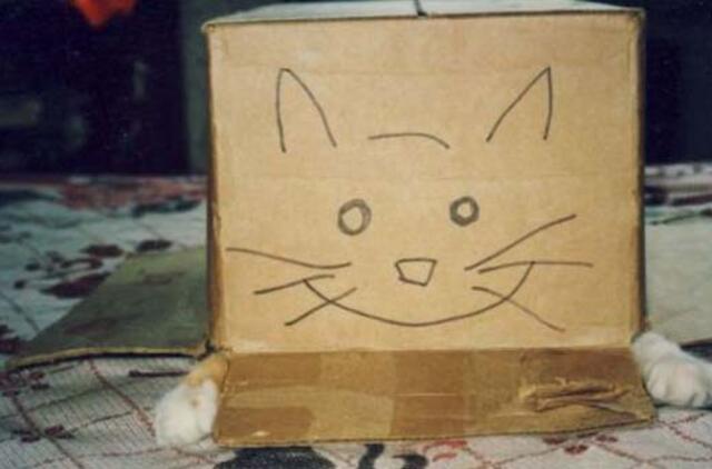 Bulvaras: tikėk - netikėk