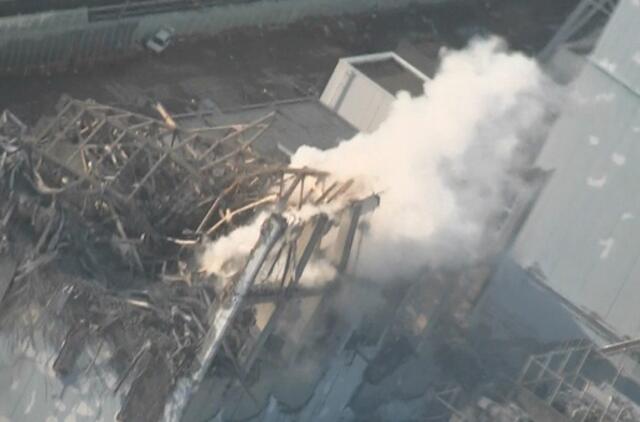 Japonija: inžinieriai nutiesė elektros kabelius į Fukušimos jėgainės antrąjį reaktorių