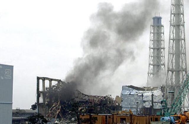 Japonijoje paskelbtas maksimalus pavojaus lygis