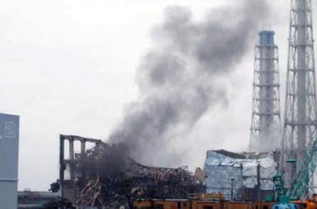 Japonijoje virš Fukušimos jėgainės reaktorių vėl kyla garai ir dūmai