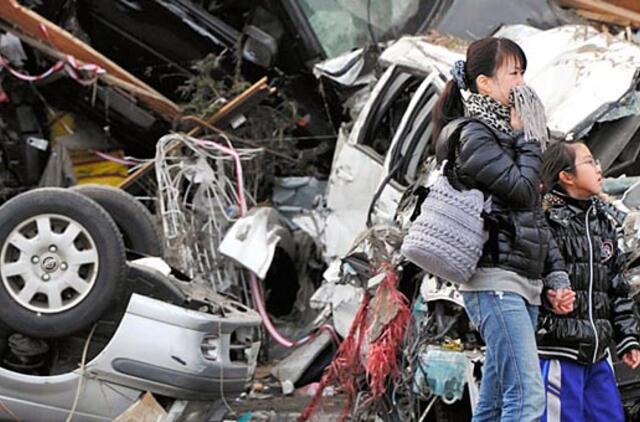 Japonijos stichija Lietuvos greičiausiai nepasieks