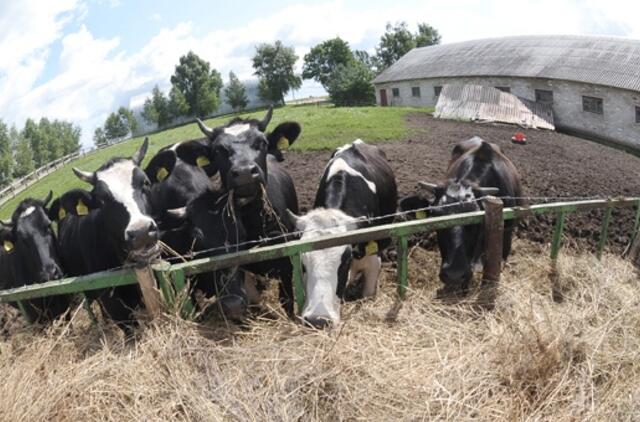 Kaimo gyventojai įžvelgia optimistiškesnę ekonomikos atsigavimo viziją