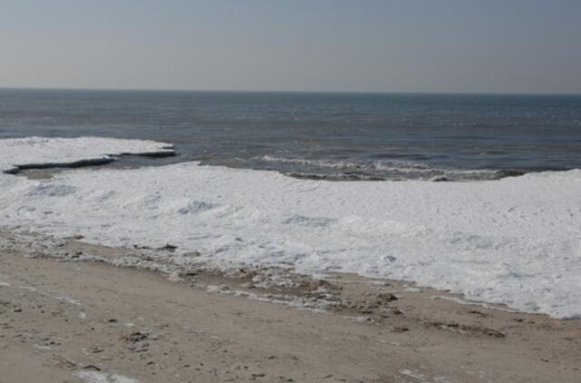 Klaipėda: VE.lt pristato kovo 10-osios įvykius