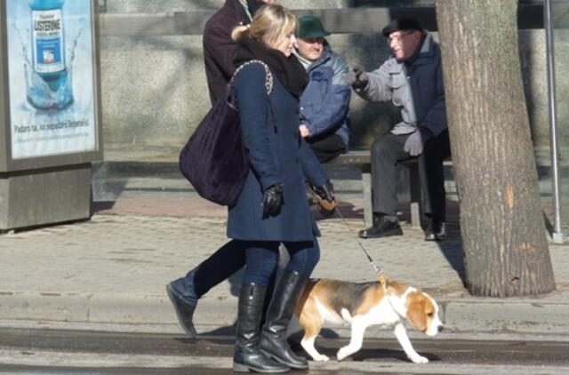 Klaipėda: VE.lt pristato kovo 12-osios įvykius