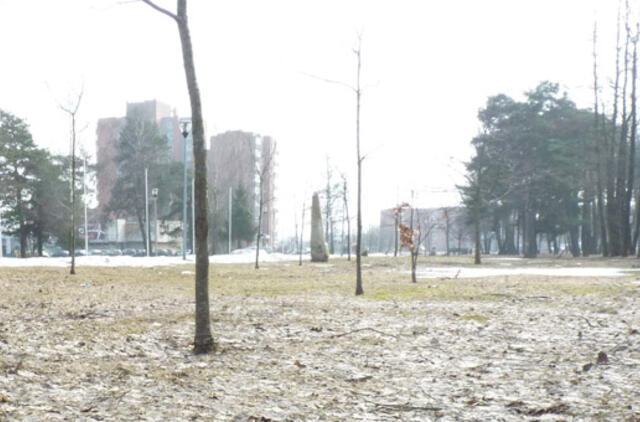 Klaipėda: VE.lt pristato kovo 22-osios įvykius