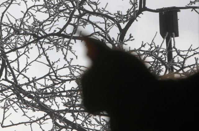 Kovo 26-oji: vardadieniai, dangaus kūnai, istorija