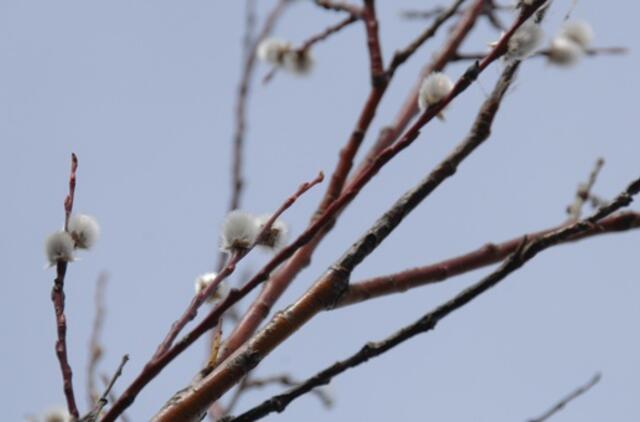 Kovo 30-oji: vardadieniai, dangaus kūnai, istorija