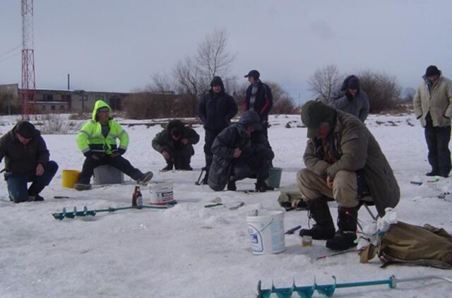 Nemuno deltoje pasirodė pirmosios stintos