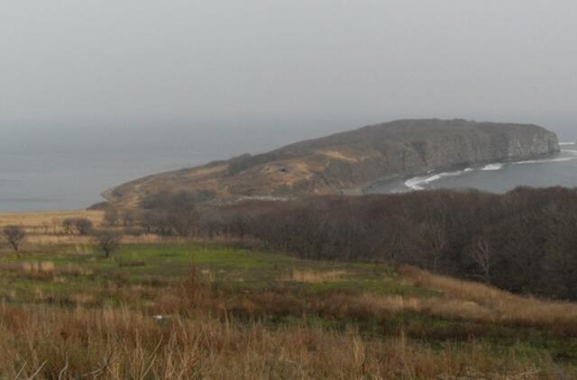 Rusiją pasiekė radiacija iš Japonijos