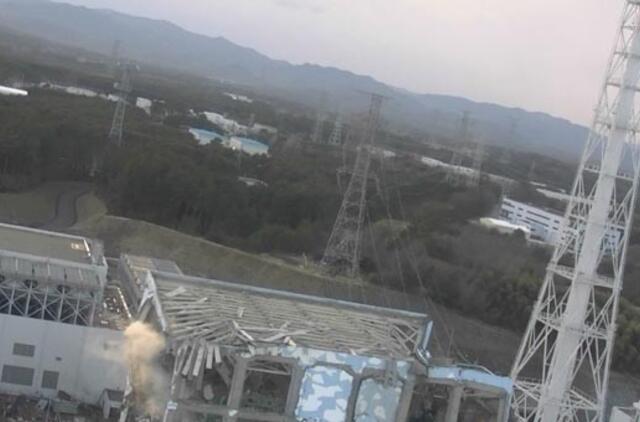 TATENA vadovas: atominės jėgainės krizė Japonijoje - "sunki ir rimta"